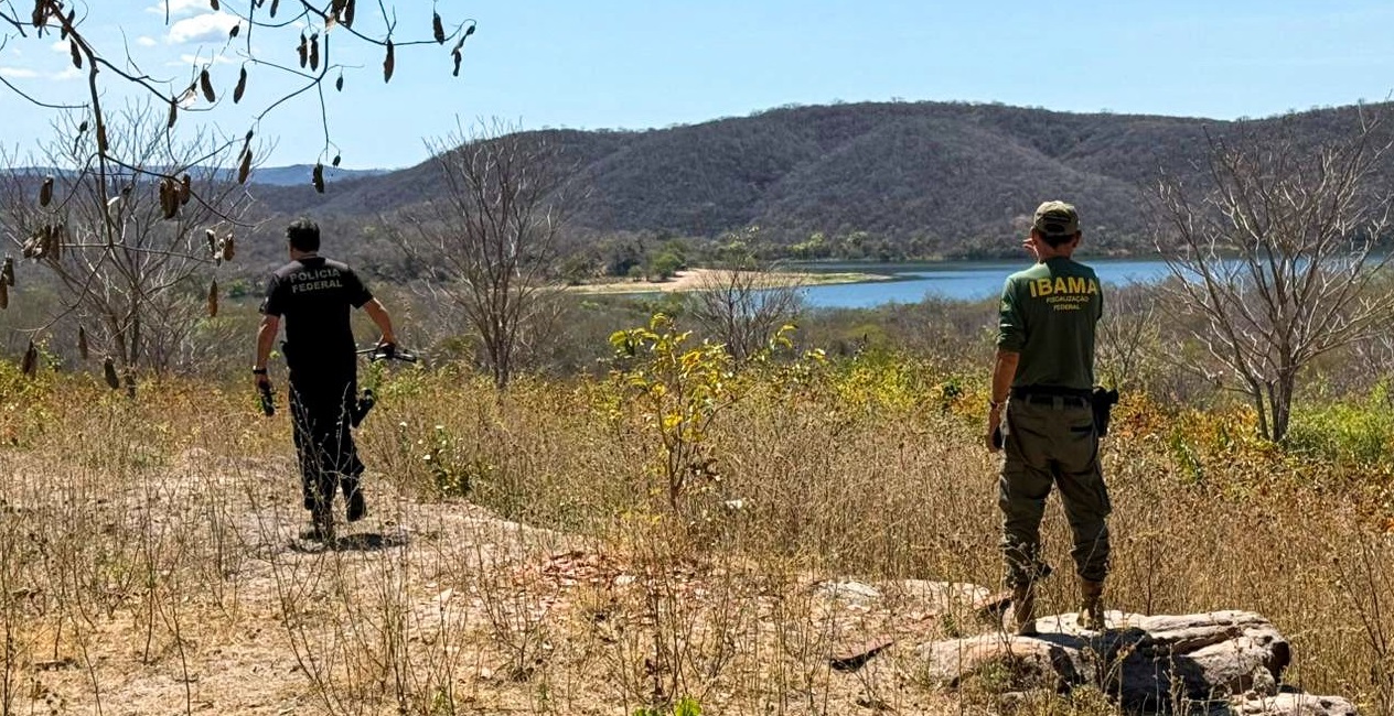 Operação da PF combate desmatamentos ilegais em unidades de conservação do Ceará