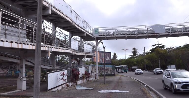 Moradores denunciam infestação de marimbondos em passarela de Fortaleza