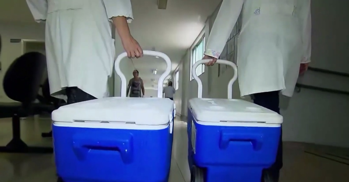 Transplantes de rim e fígado estão entre os mais realizados no Brasil e no mundo