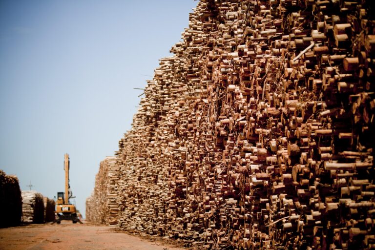Resíduos da produção de celulose têm novo uso em fazenda: economizar água