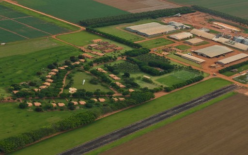 SLC amplia área plantada em 13,6% na safra 2025/26, para 836,1 mil hectares