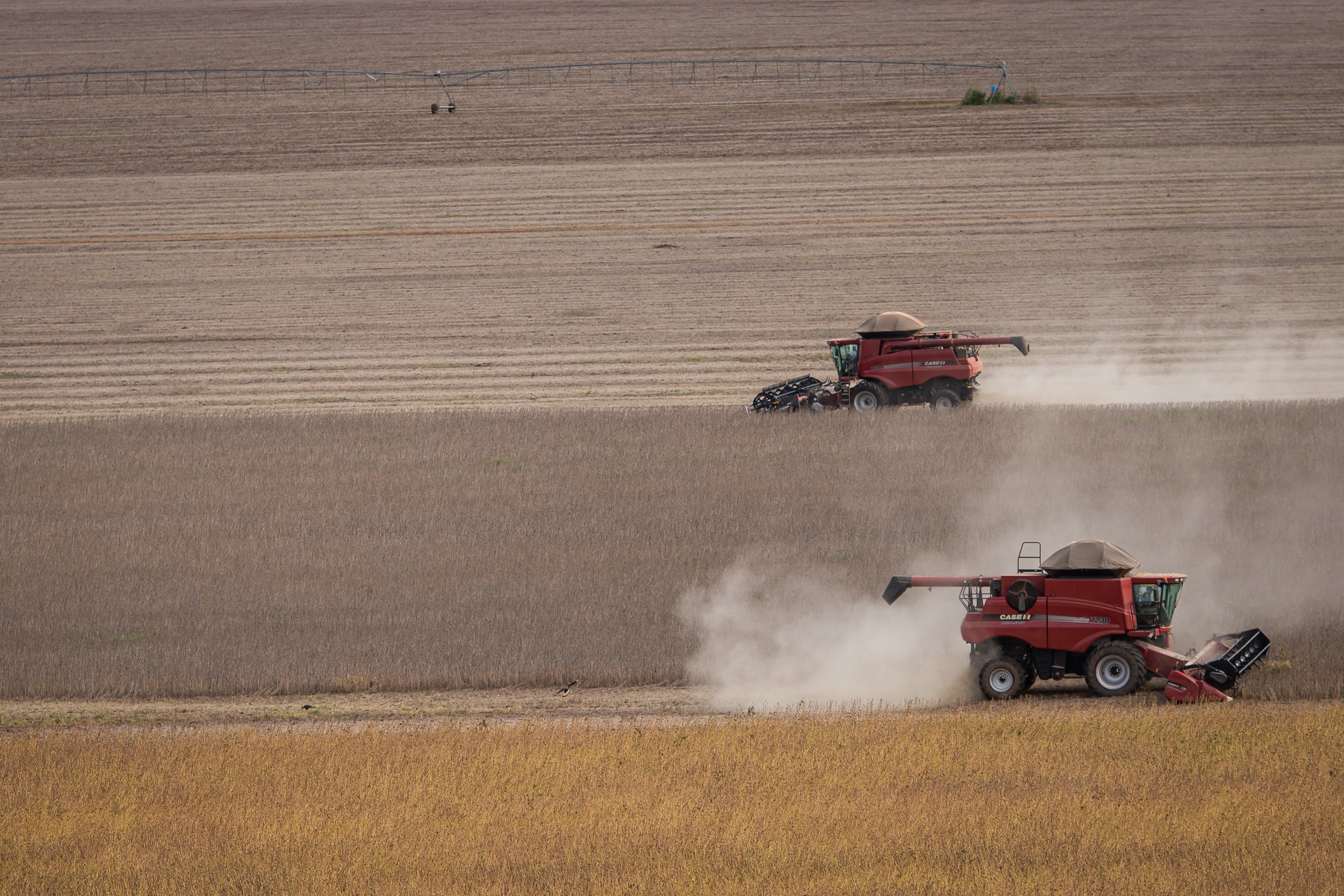Consórcio de máquinas agrícolas cresceu 149% em cinco anos