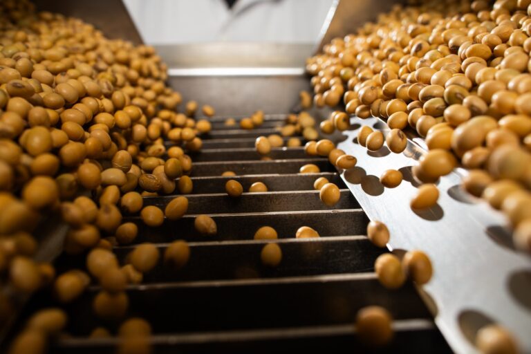 Soja, milho e trigo fecham em alta na bolsa de Chicago