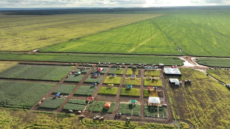 Acionistas da BrasilAgro aprovam R$ 75 milhões em dividendos