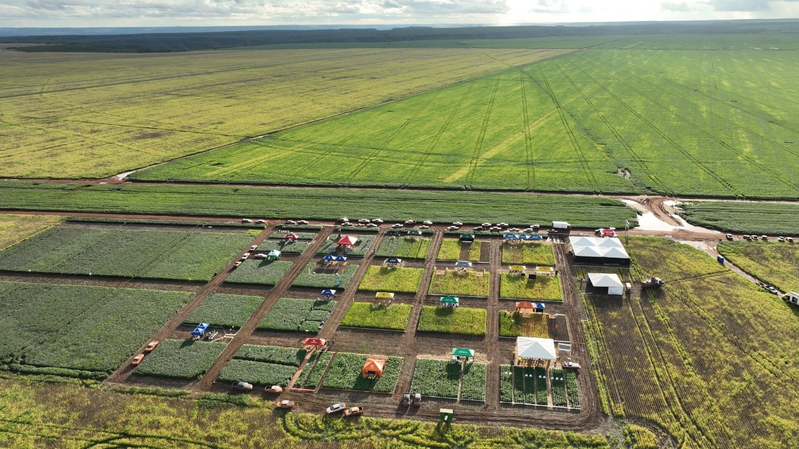 Acionistas da BrasilAgro aprovam R$ 75 milhões em dividendos