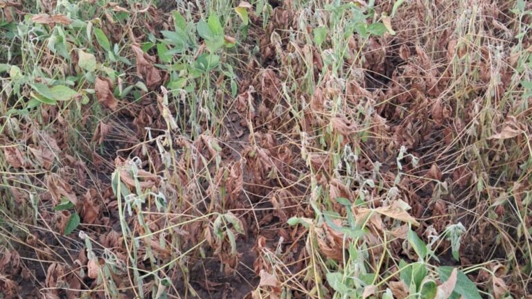 Governo mudará regras e permitirá mais 56 municípios do RS na renegociação de dívidas