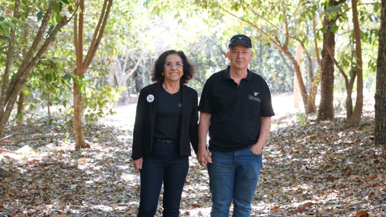 Em queijaria de Brasília, as cabras são as ‘patroas’