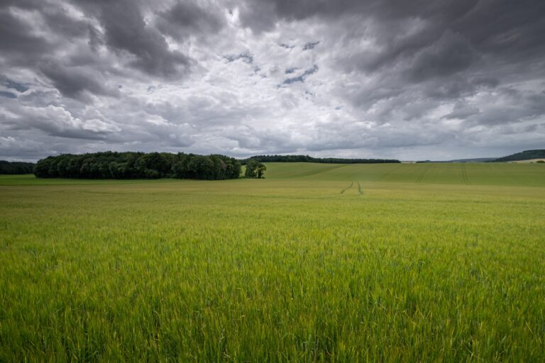 Retorno das chuvas favorece umidade do solo em áreas agrícolas do Paraná