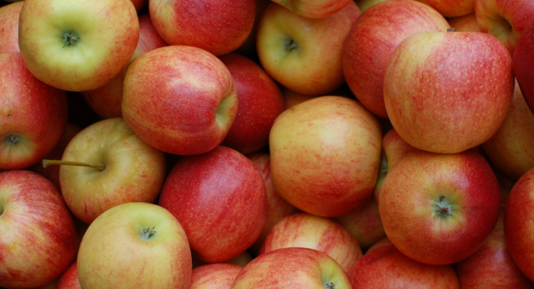 Brasil busca abrir mercados asiáticos para maçã