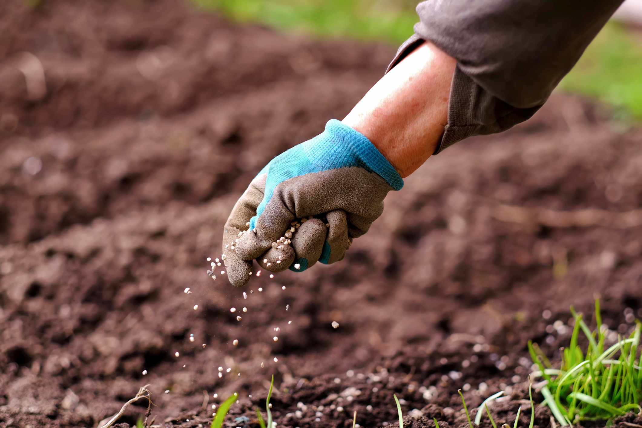 Alta nos custos e queda das commodities pioram relação de troca no agro; café é exceção