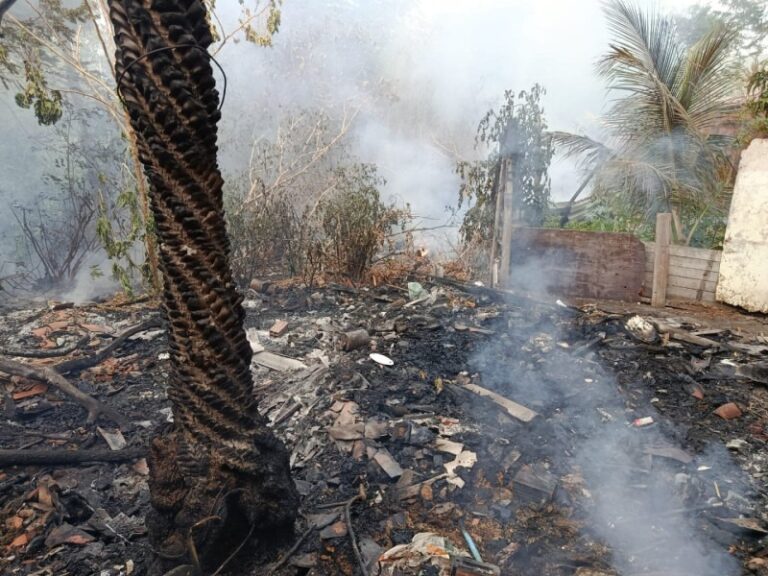 Incêndio atinge área próxima ao Parque do Cocó e mobiliza Corpo de Bombeiros em Fortaleza