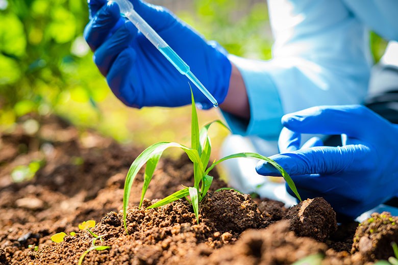 Indústria e produtores querem regulamentação da lei de bioinsumos