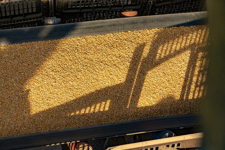 VLI faz primeiro embarque de milho para a China pelo terminal do Espírito Santo