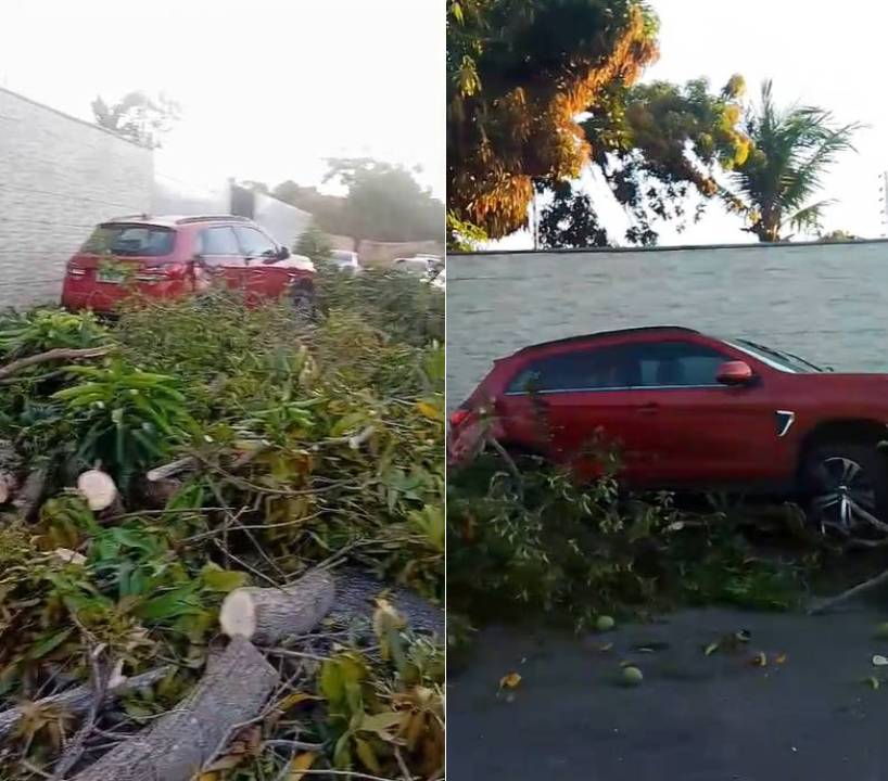 Idosa morre após ser atingida por carro na calçada de casa em Garrote, Caucaia
