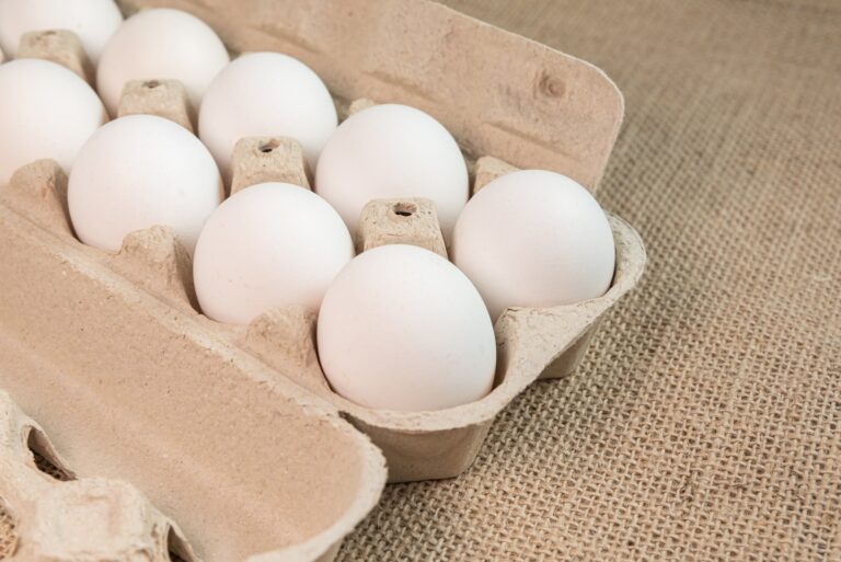 Preços dos ovos encerram a primeira quinzena de outubro com estabilidade