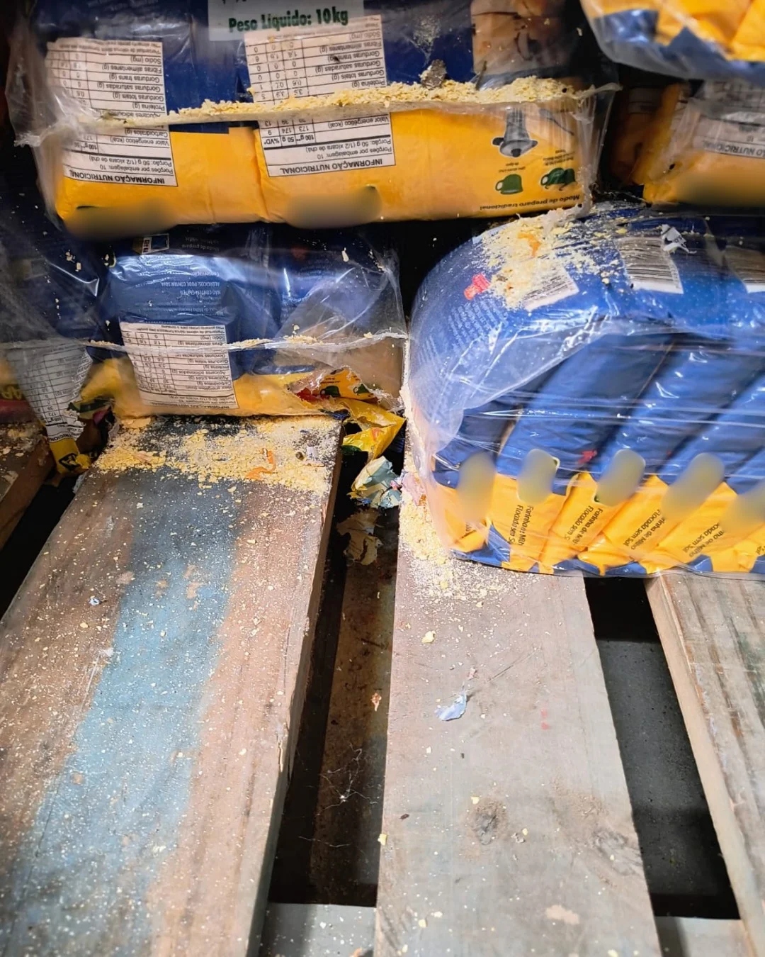 Supermercado é interditado em Fortaleza por infestação de roedores e risco à saúde