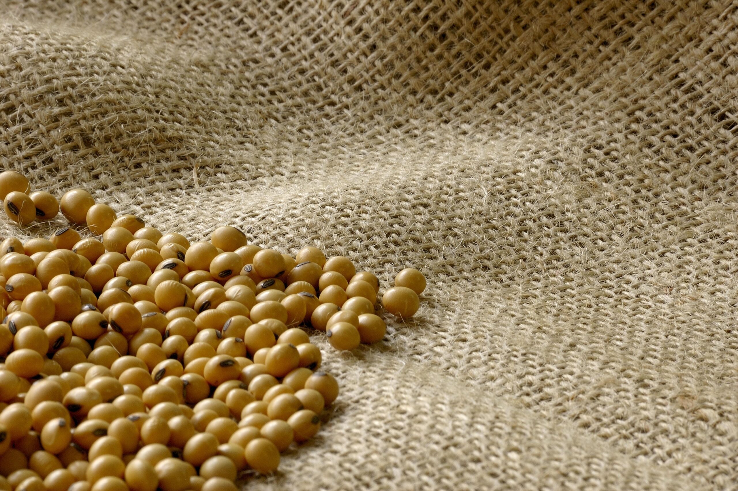 Acesso ao CRA por pequenas e médias empresas do agro está mais restrito