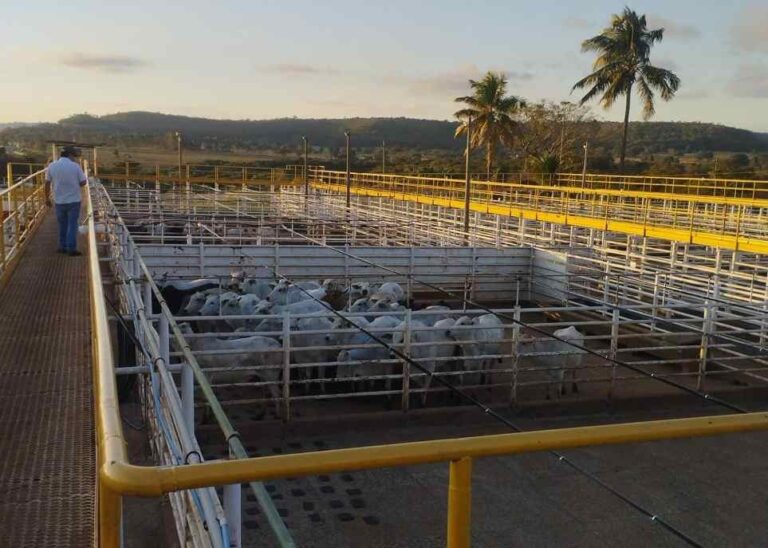 Grupo Leste entra no capital da Ramax e oferece crédito de até R$ 600 milhões