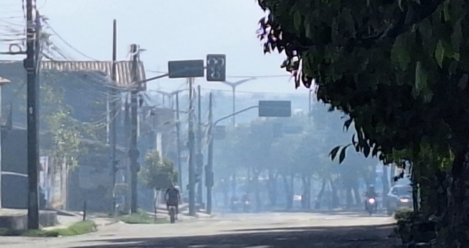 Incêndio é registrado em área de vegetação na Avenida Osório de Paiva, em Fortaleza