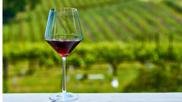 Vinho é um dos produtos mais fraudados do Brasil; saiba como não cair em golpes