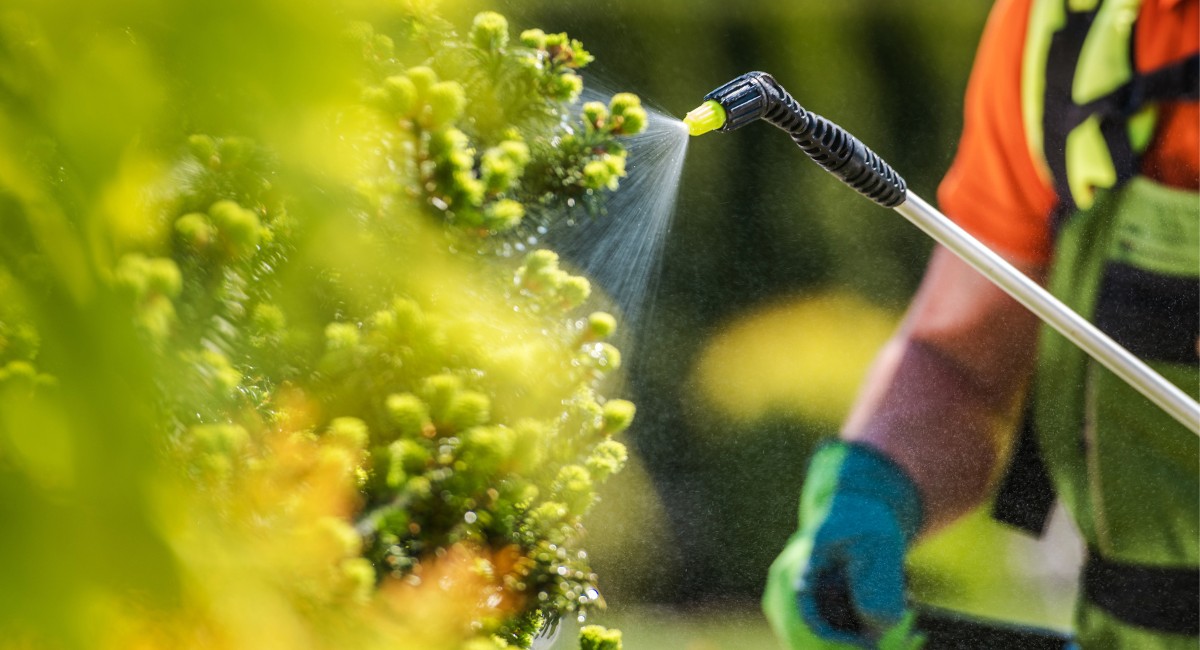 Pesquisadores identificam ‘substâncias químicas eternas’ em alimentos na Califórnia
