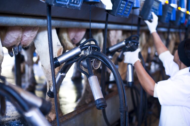 Rio Grande do Sul anuncia compra pública de 2,2 mil toneladas de leite