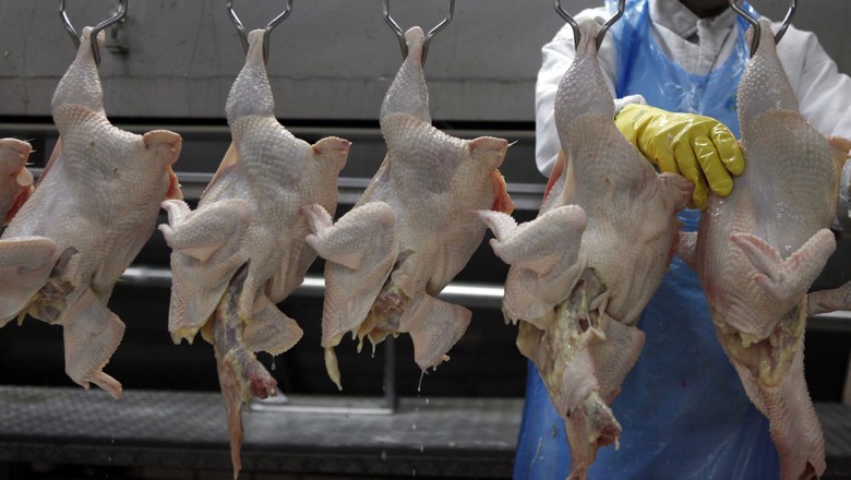 MBRF vê equilíbrio entre oferta e demanda de frango em 2026
