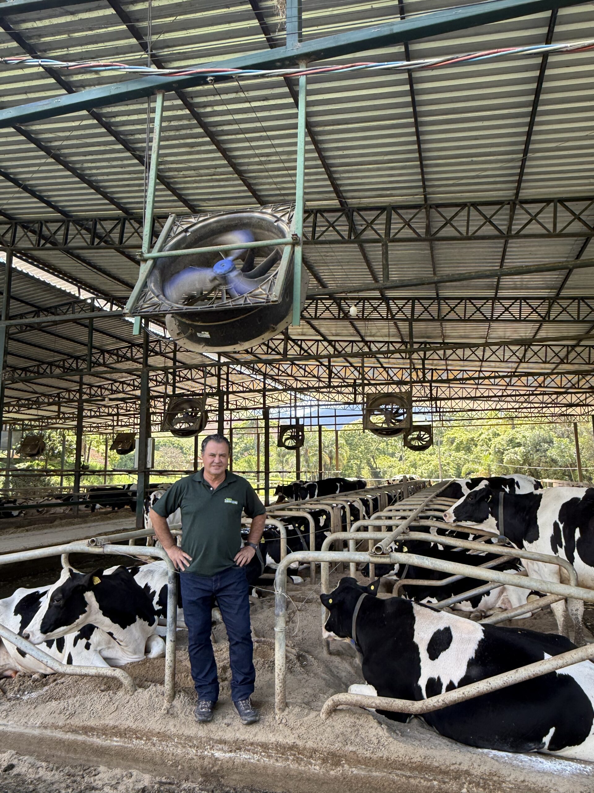 Como uma fazenda de MG alcançou produtividade de leite quatro vezes acima da média nacional