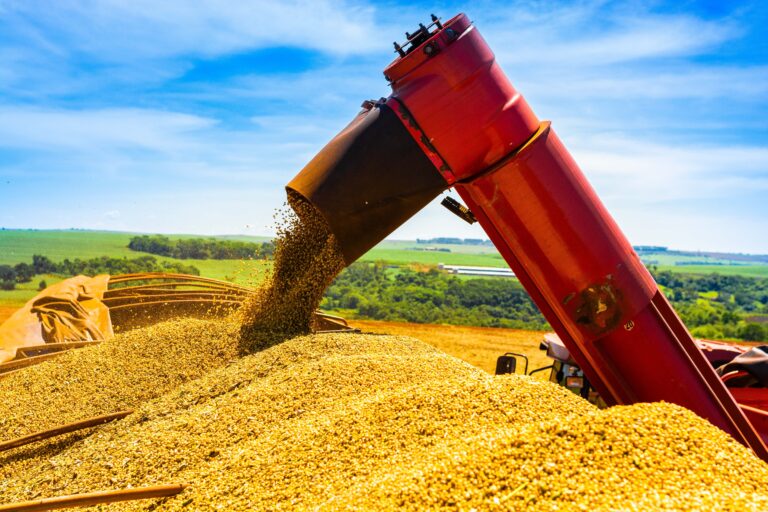 Preço da soja fecha semana em baixa no Porto de Paranaguá