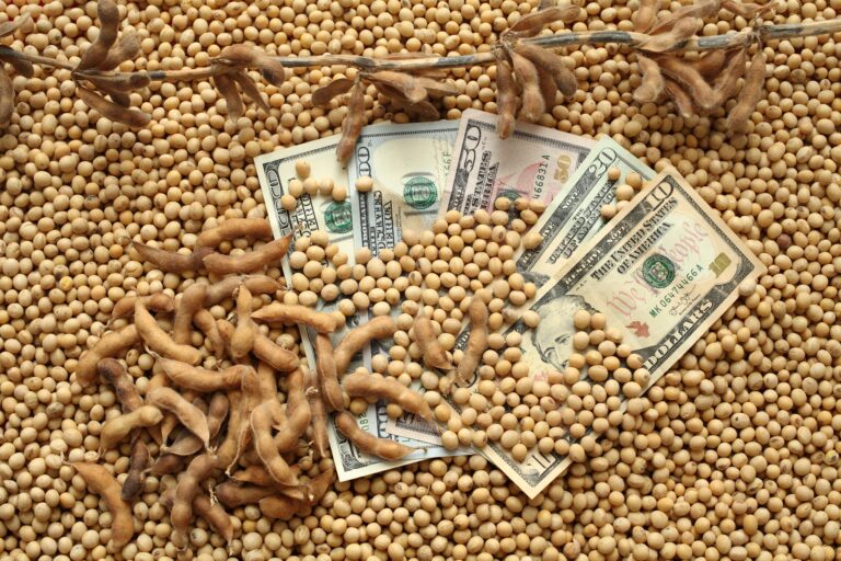Soja, milho e trigo têm leve alta na abertura da bolsa de Chicago