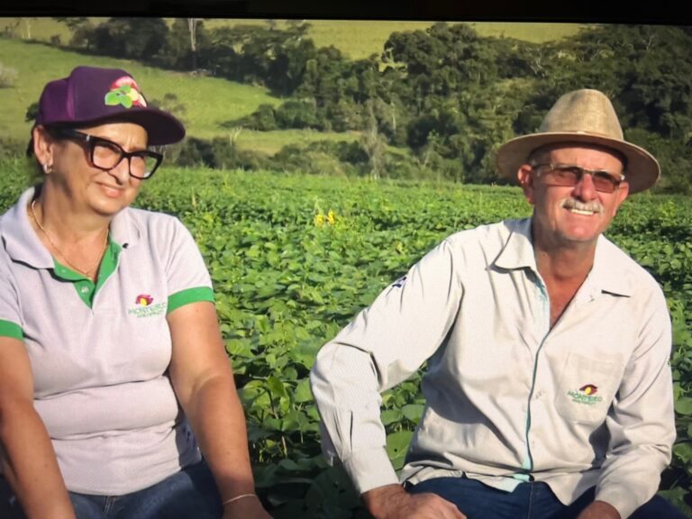 Produtores de batata-doce no interior de SP investem em tecnologia e exportação