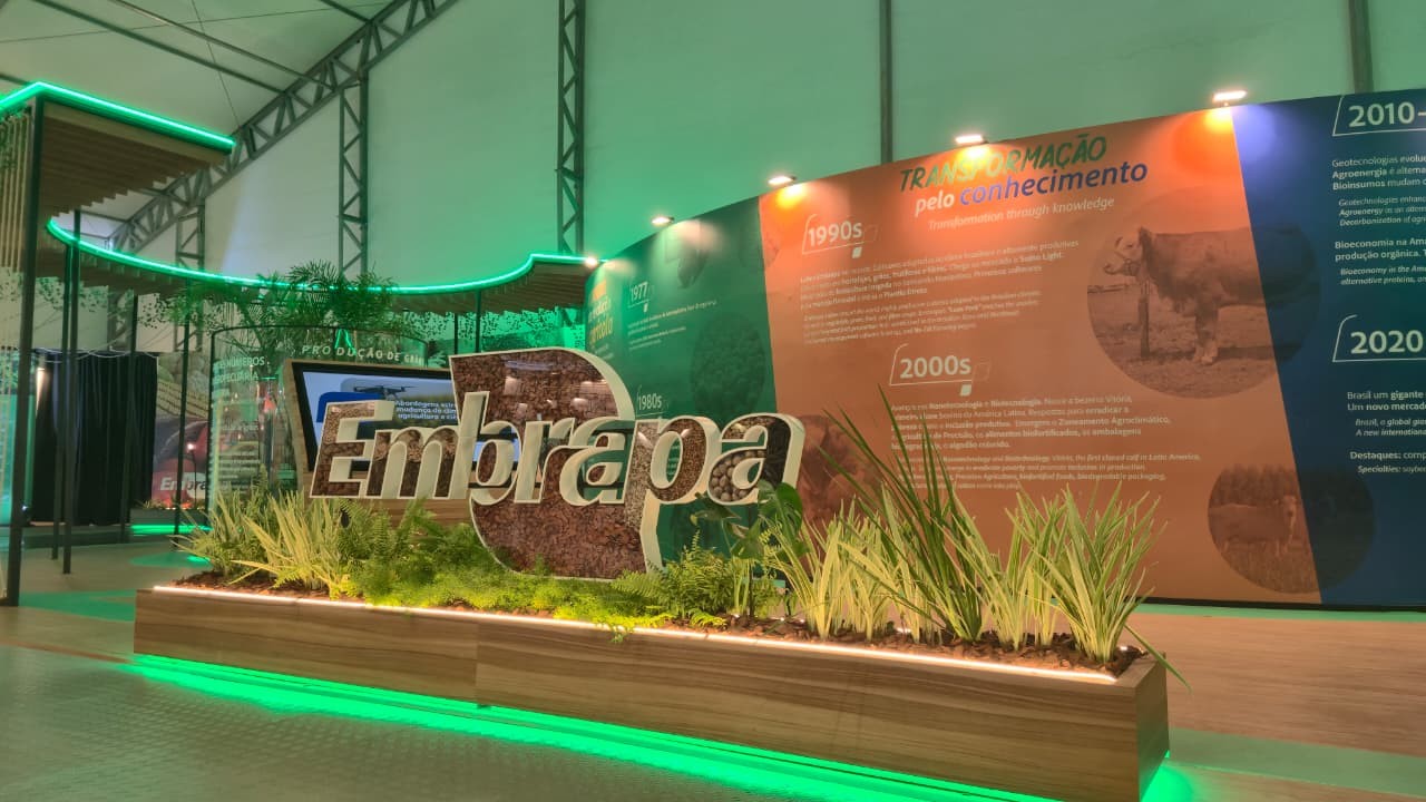 Embrapa leva à COP30 tecnologias de baixo carbono e centenas de palestras em cinco palcos