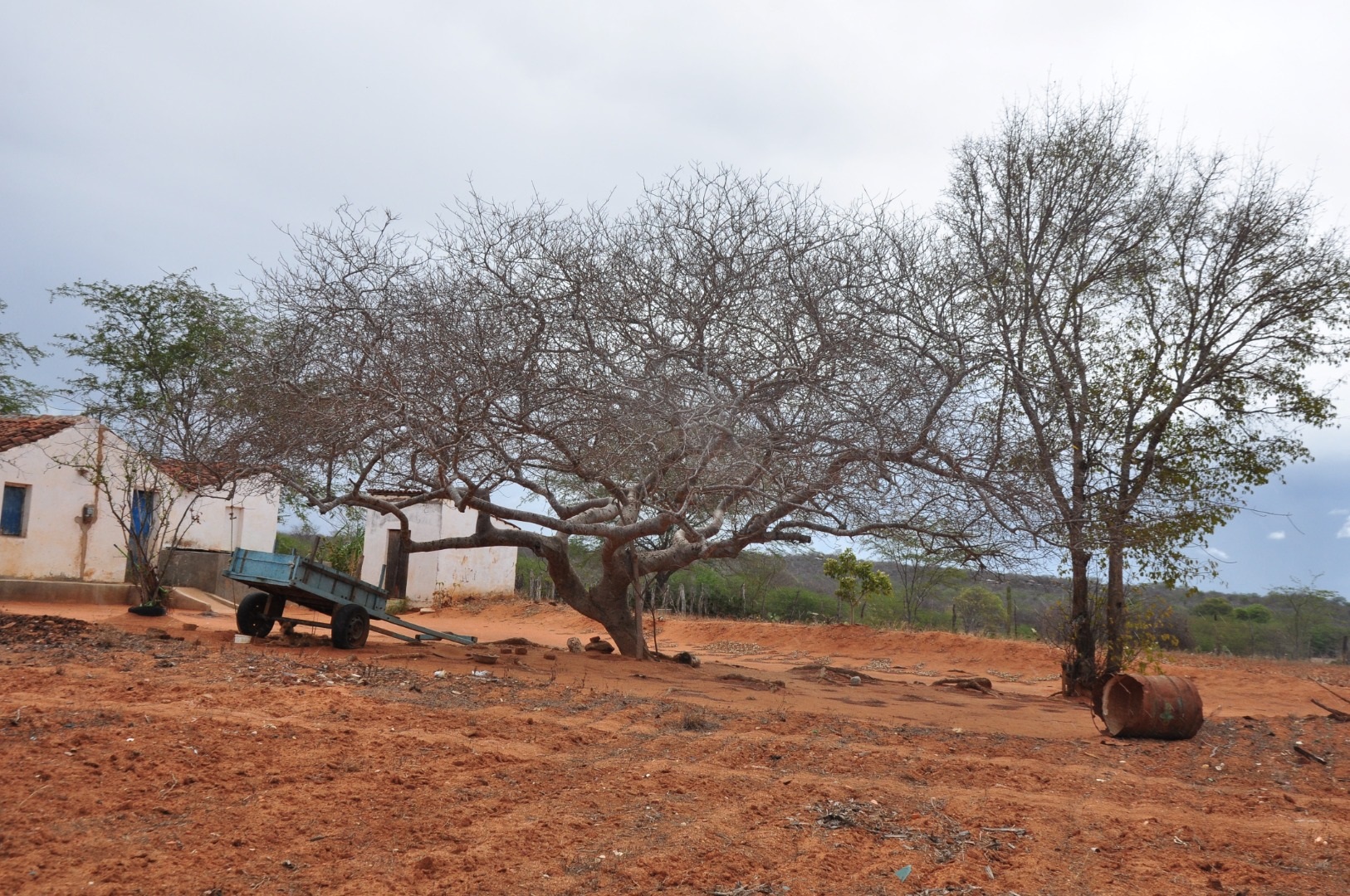 Monitor de Secas: Ceará registra maior índice de seca grave em quase seis anos