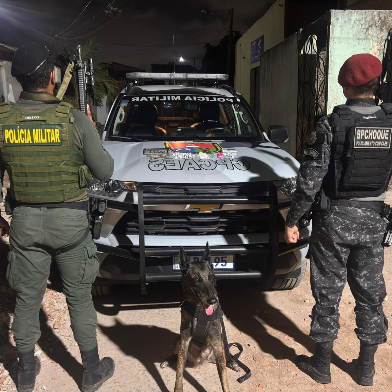 Cães farejadores da Polícia Militar localizam drogas escondidas à margem de córrego em Fortaleza