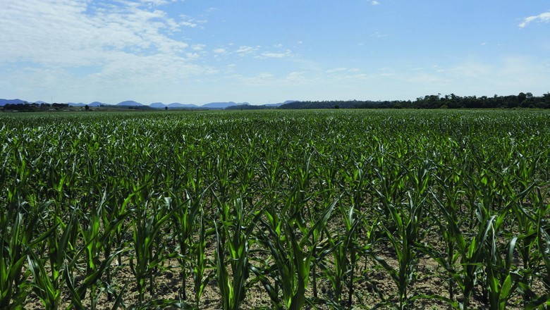 BNDES liberou R$ 5,2 bilhões para alongar dívidas rurais