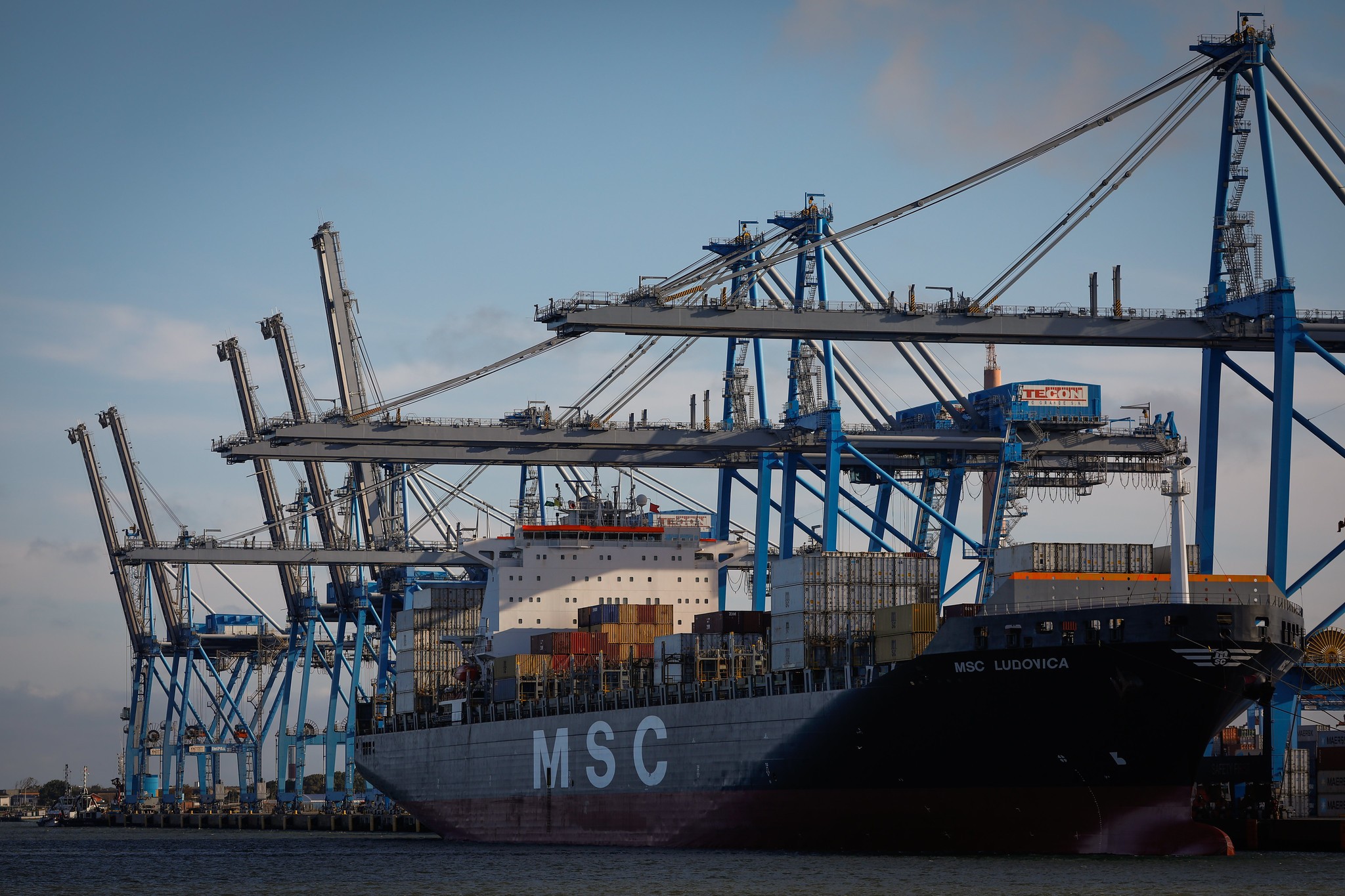 Exportações brasileiras de grãos encerram 2025 em alta, aponta ANEC