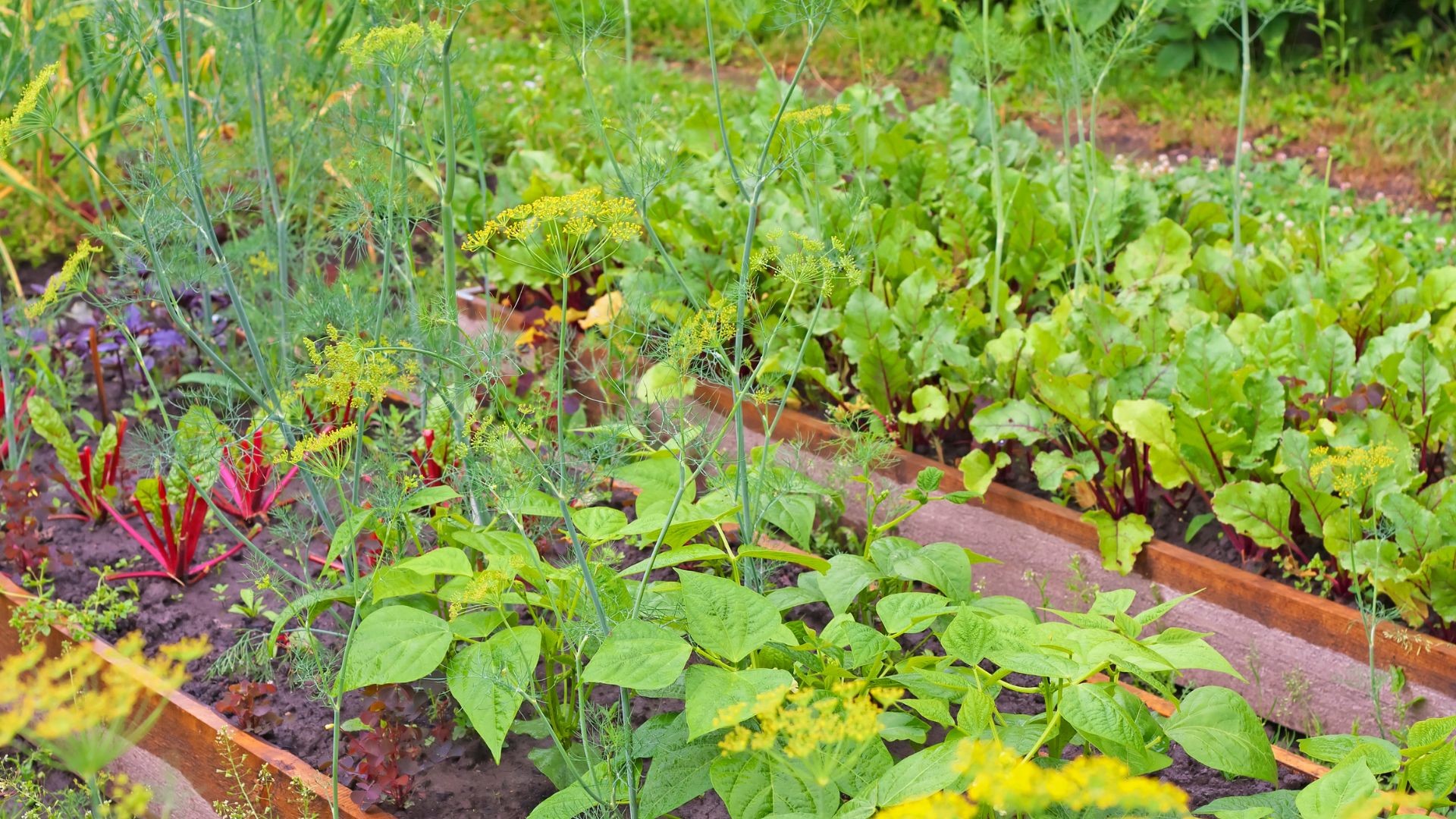 Preços pagos aos produtores rurais caem 0,71% em novembro