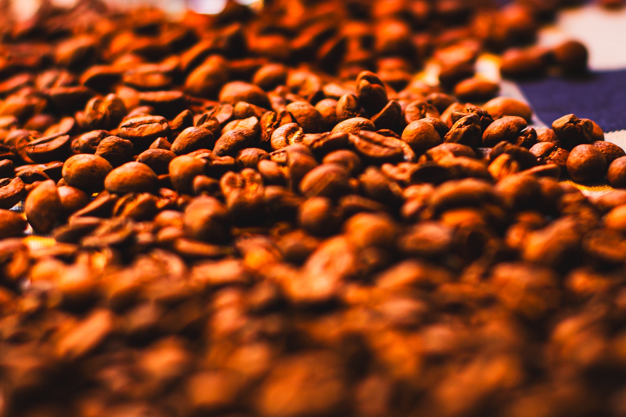 Ministério da Agricultura recolhe 23 lotes de café irregulares para consumo