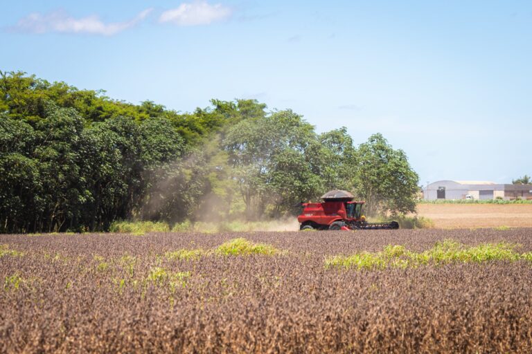 Plano Clima prevê emissões de 649 milhões de toneladas de CO2 equivalente em 2030