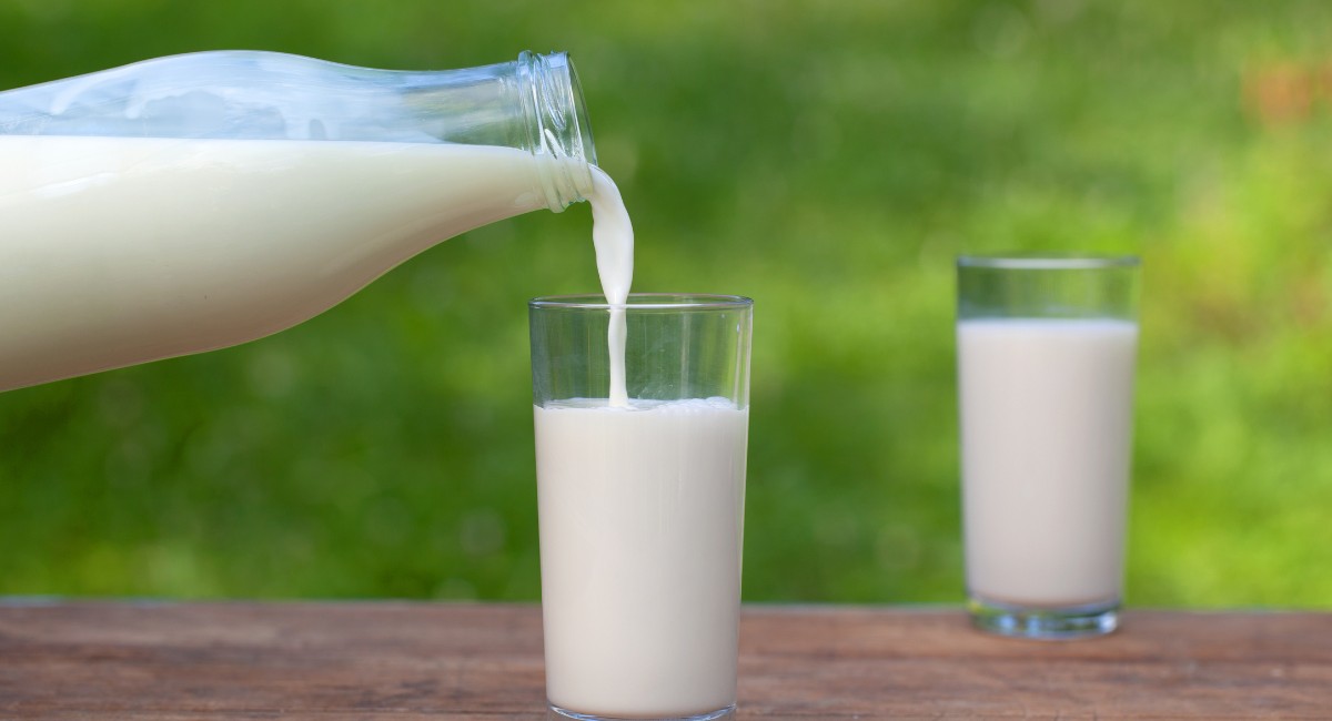 Preço do leite ao produtor captado em novembro cai 8,31%, aponta Cepea