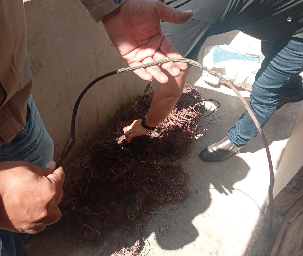 Operação Celari prende homem e apreende fios de cobre e galos em Itapipoca