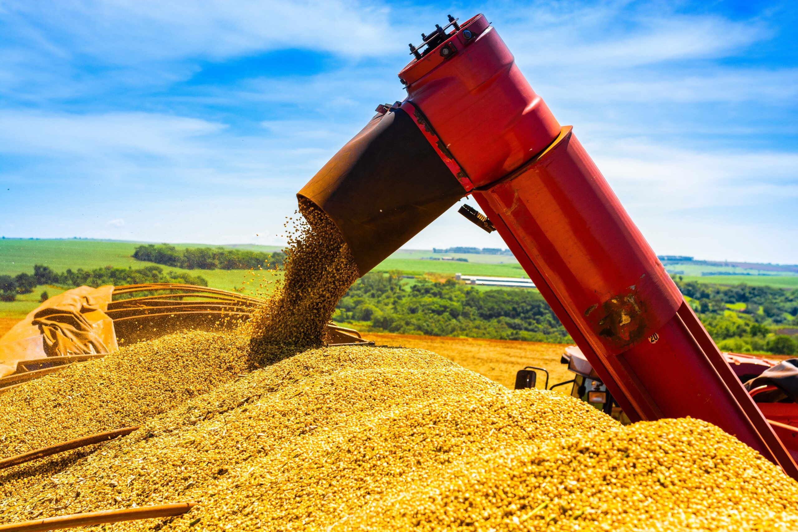 Preço da soja volta a subir no Brasil com apoio do dólar