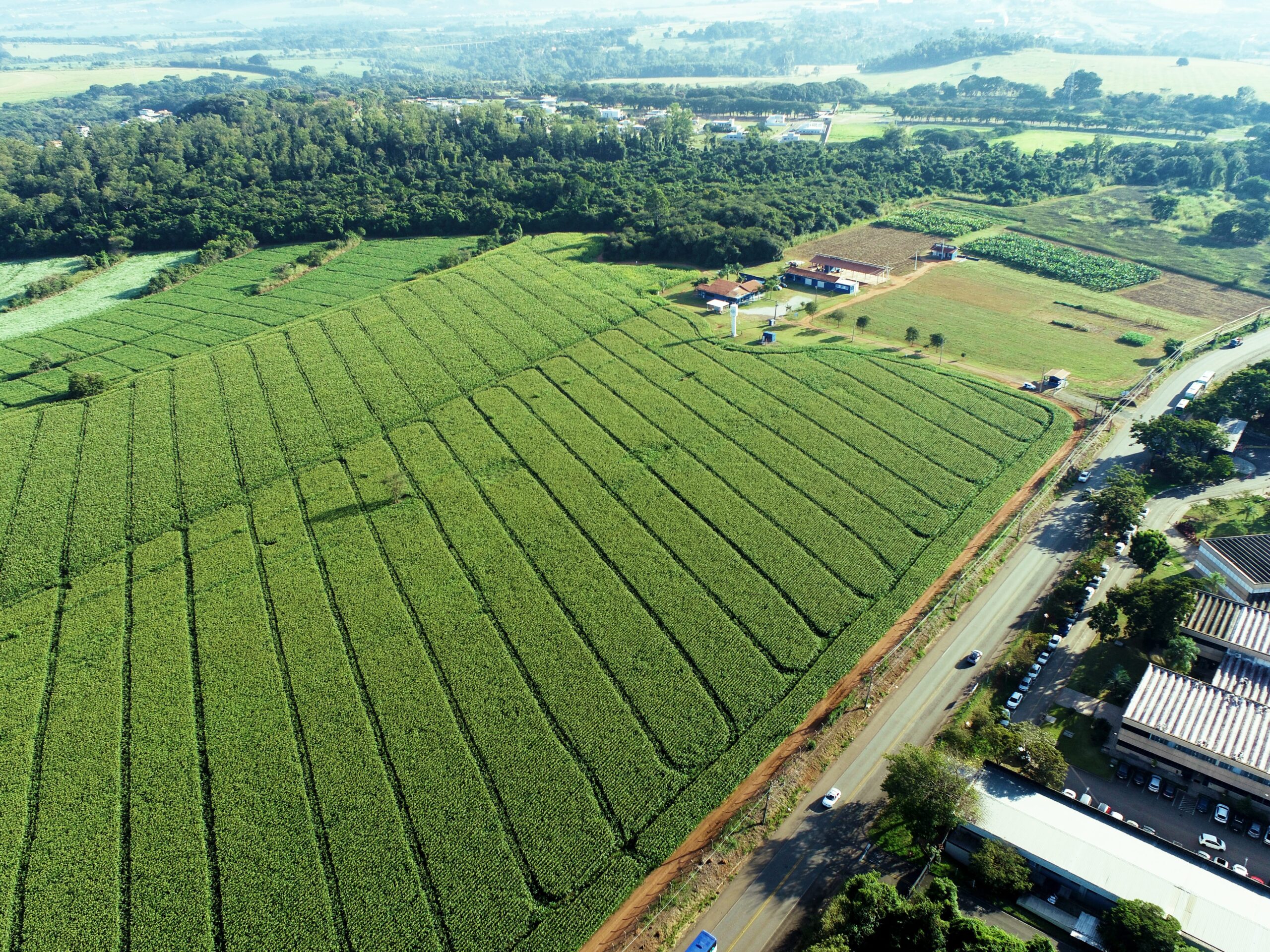 Embrapa seleciona startups para testar tecnologias em fazenda laboratório