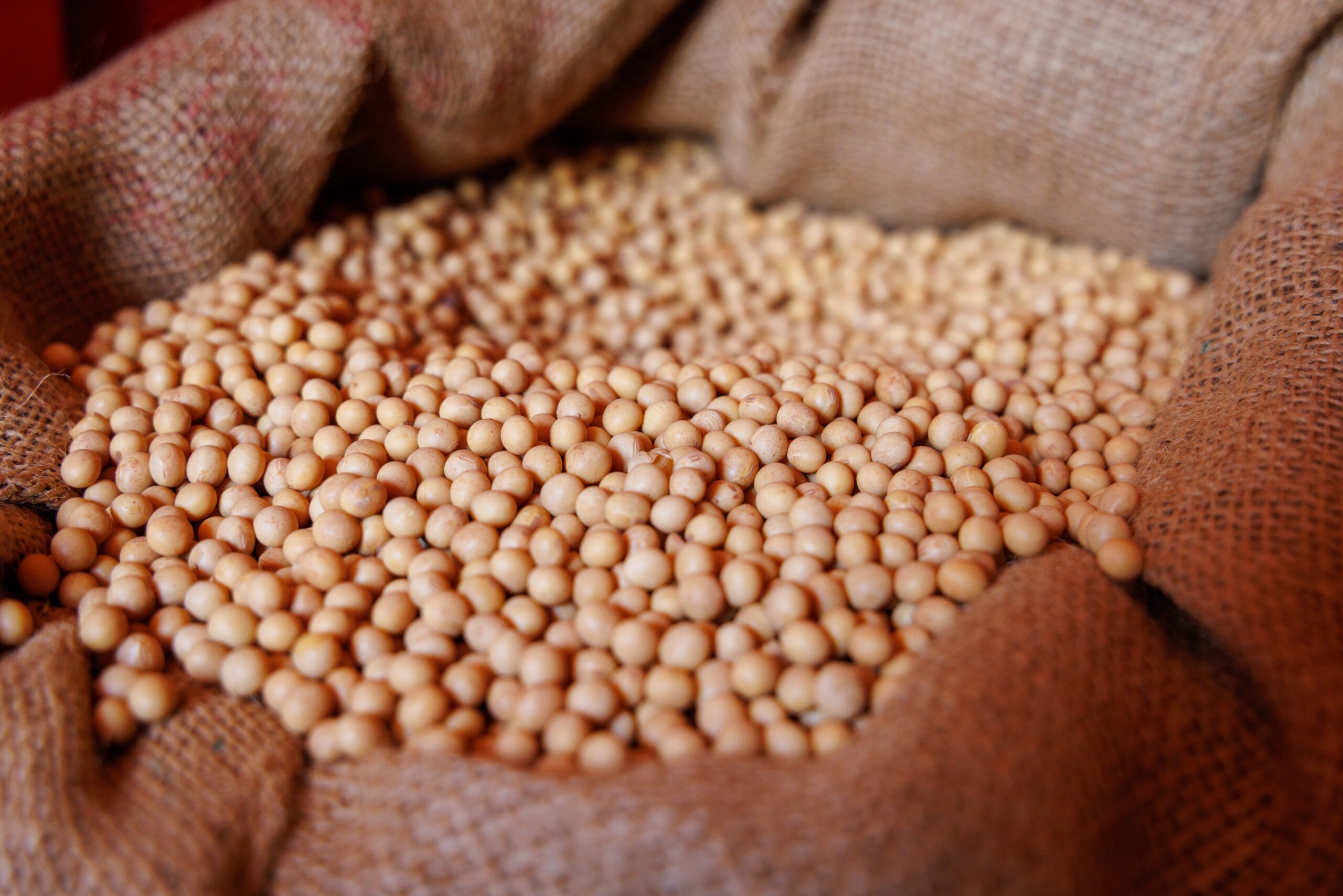 Soja sobe em Chicago após ajuste de posições dos investidores