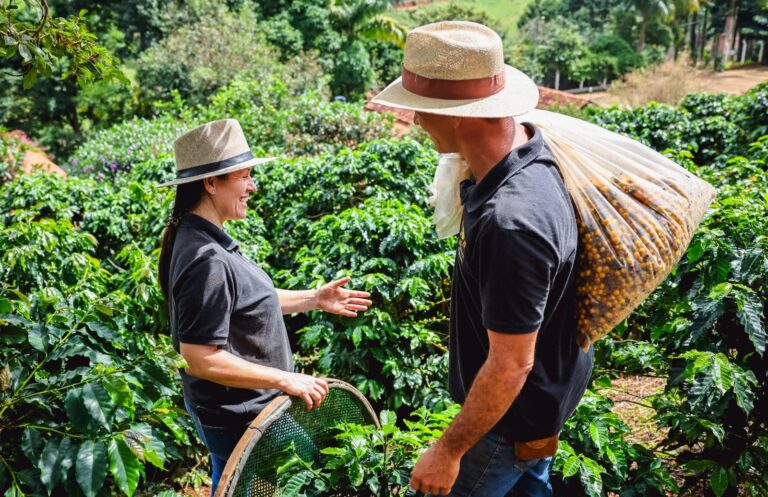 Demanda por cafés especiais impulsiona a abertura de microtorrefadoras  no país