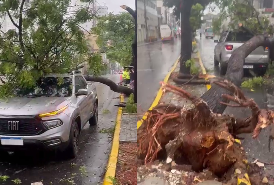 Árvore cai em carro na Avenida Heráclito Graça, em Fortaleza, durante fortes chuvas