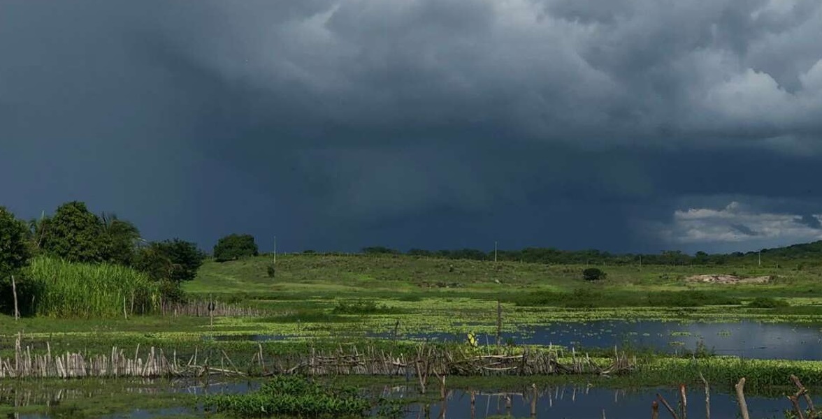 Ceará tem chuva em mais de 130 municípios pelo terceiro dia seguido