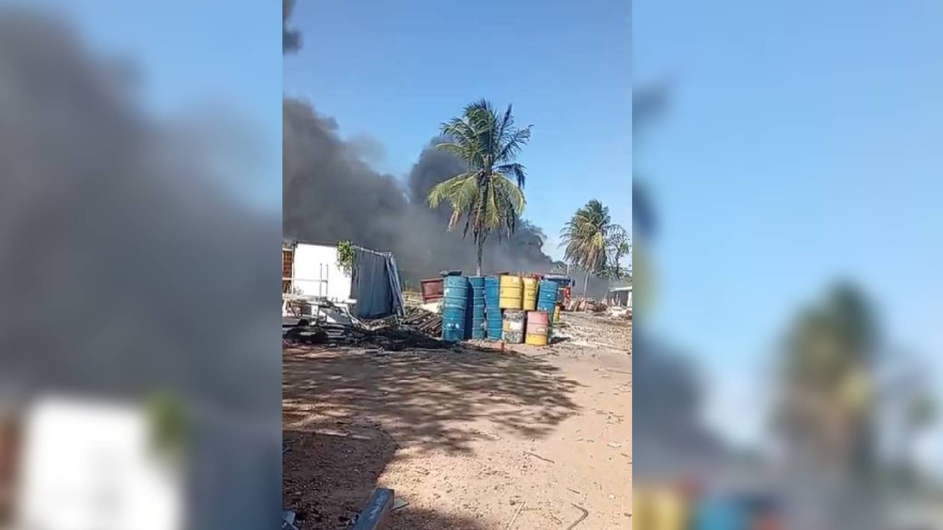 Homem causa incêndio em sucata ao tentar espantar enxame de abelhas em Fortaleza