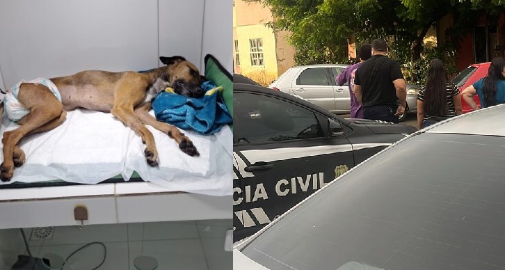 Cachorra é estuprada e morta após casa ser invadida em condomínio no Ceará