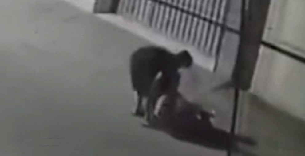 Câmera flagra mulher sendo agredida pelo companheiro em rua de Fortaleza